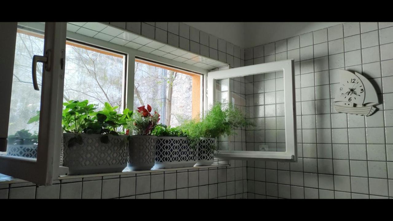 Appartement Diadora *